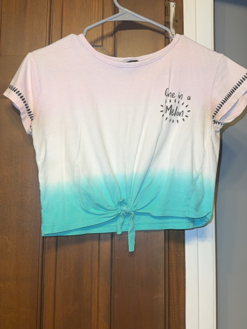 Ombre Pink to Teal Tie-Front Crop Tee - One in a Melon